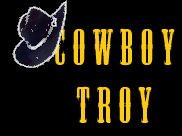 Cowboy Troy
